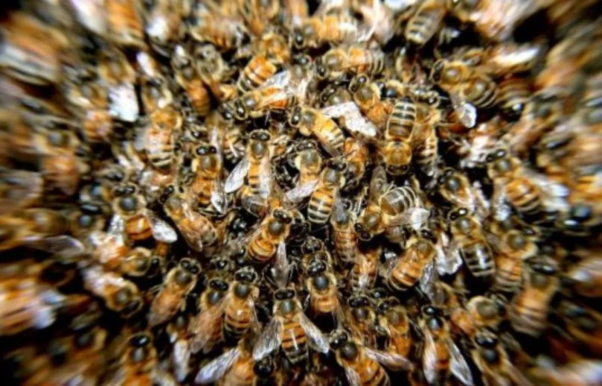 Crowdfunding-Tipps in aktueller Recherche