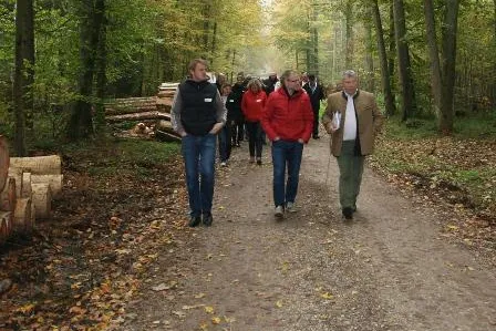 Bild: Eine Exkursion die beeindruck - Holz(-bau) begeistert.