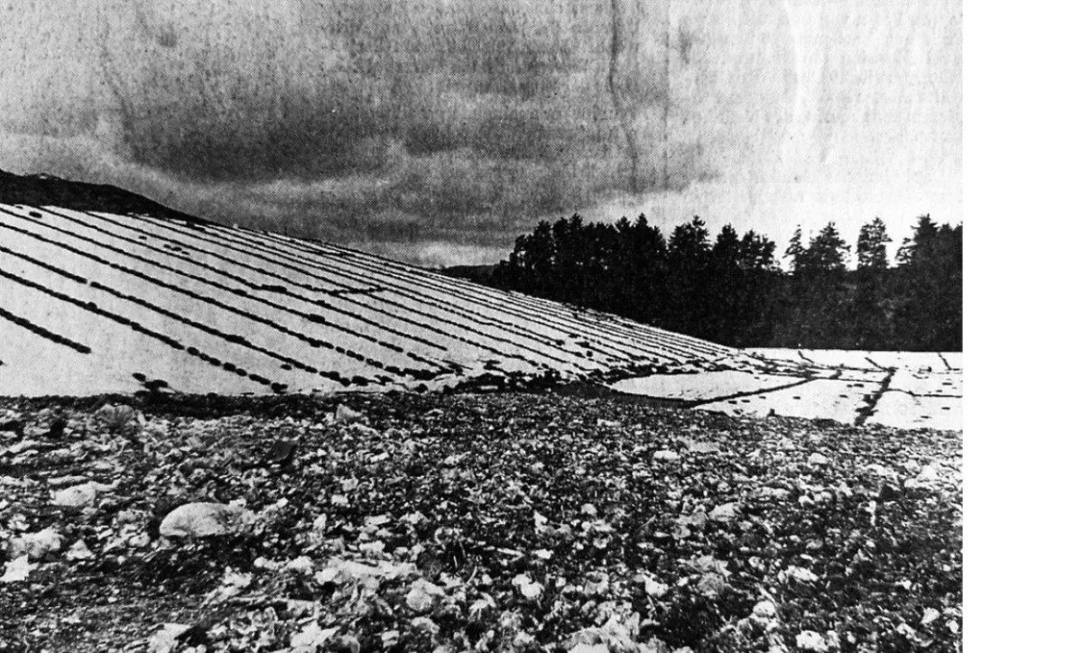 60 Jahren Müllablagerung: Trinkwassergefährdung weiter ignoriert...! (© Pegnitz Zeitung, Lauf a. d. Pegn.)