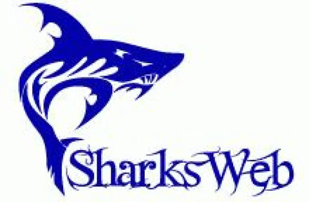 Bild: Sharks Web startet durch