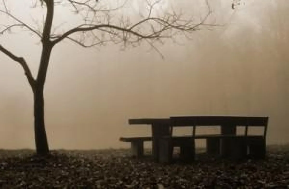 Lichtmangel macht depressiv (Foto: angieconscious / pixelio.de)