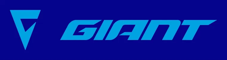 Bild: Giant Deutschland stärkt seine digitale Präsenz und die Suchleistung im Bereich KI