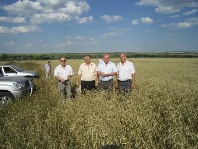 Bild: Entwicklung des Clusters „Herstellung und Vermarktung von Brot“ in der Oblast Pensa