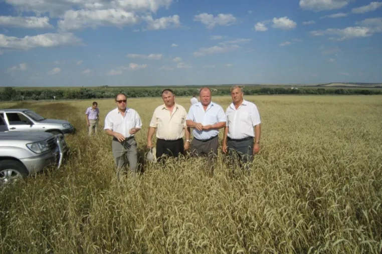Bild: Entwicklung des Clusters „Herstellung und Vermarktung von Brot“ in der Oblast Pensa