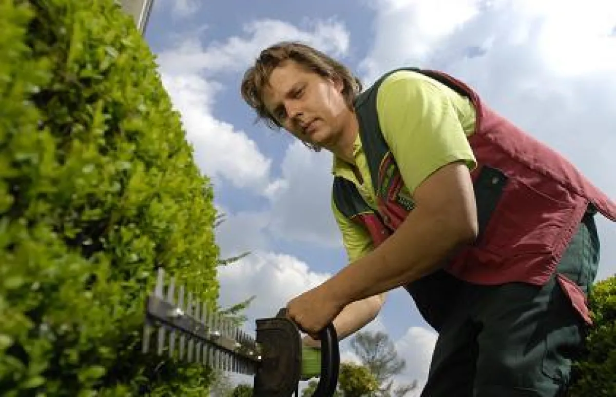 Jetzt wird in Form gebracht, damit der garten im Frühling Vorsprung hat