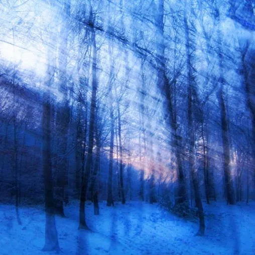 Bild: 24. WINTERWERKSTATT ALFTER
