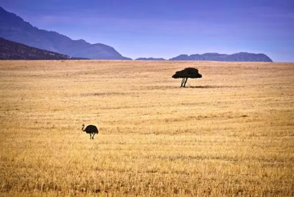 SIGMA „Our World“-Tour im Monatsrückblick – Januar-Status der Mission: 32 Prozent erreicht Bild: SIGMA „Our World“-Tour im Monatsrückblick – Januar-Status der Mission: 32 Prozent erreicht