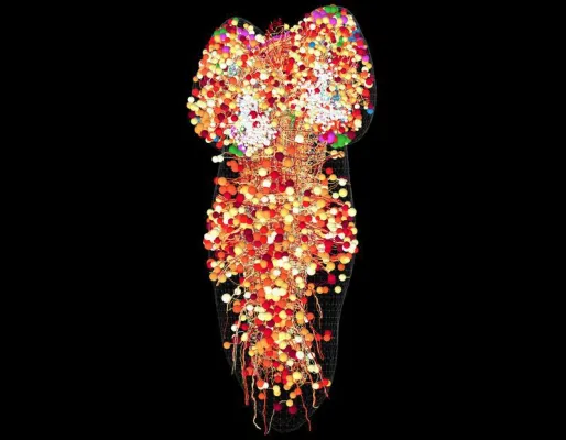 Bild: PI Nr. 76/2017, Die Vermessung des Gehirns