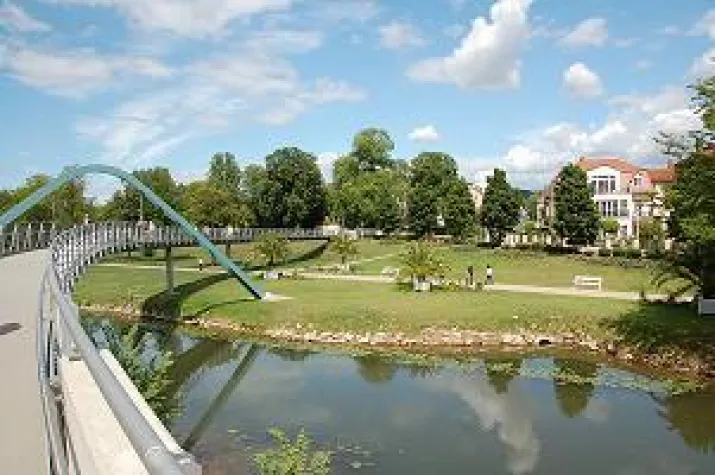 Bild: Frankens Saalestück ist Frankens Sahnestück