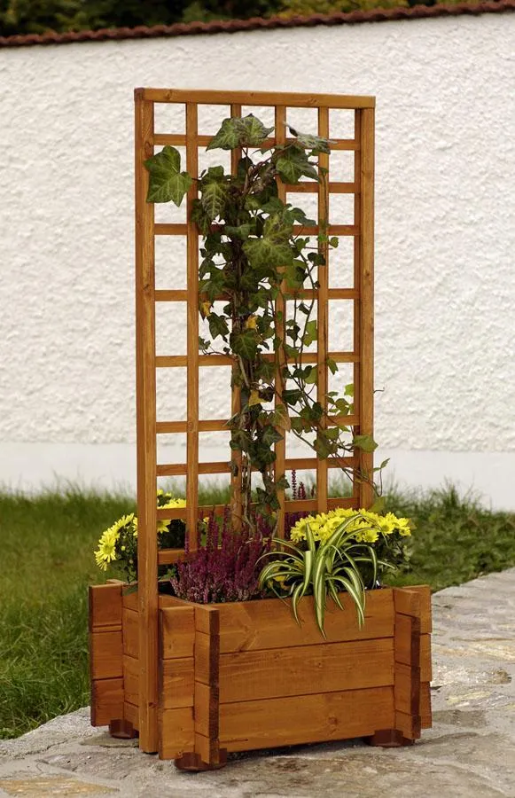 Blumenkasten Hofgarten, Foto: GASPO