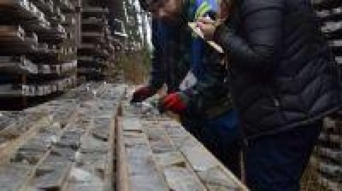 Quelle: Swiss Resource Capital AG