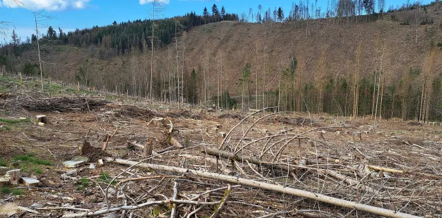 Bild: Hochschule Weihenstephan-Triesdorf als einzige HAW am Bayerischem Netzwerk für Klimaforschung 2 (bayklif2) beteiligt