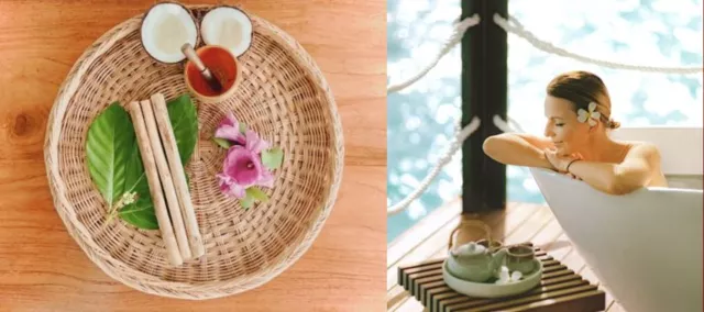 Bild: Wiedergeburt einer Lehre:  „Traditionelle Maledivische Medizin“ hält Einzug ins Spa des Nova Maldives