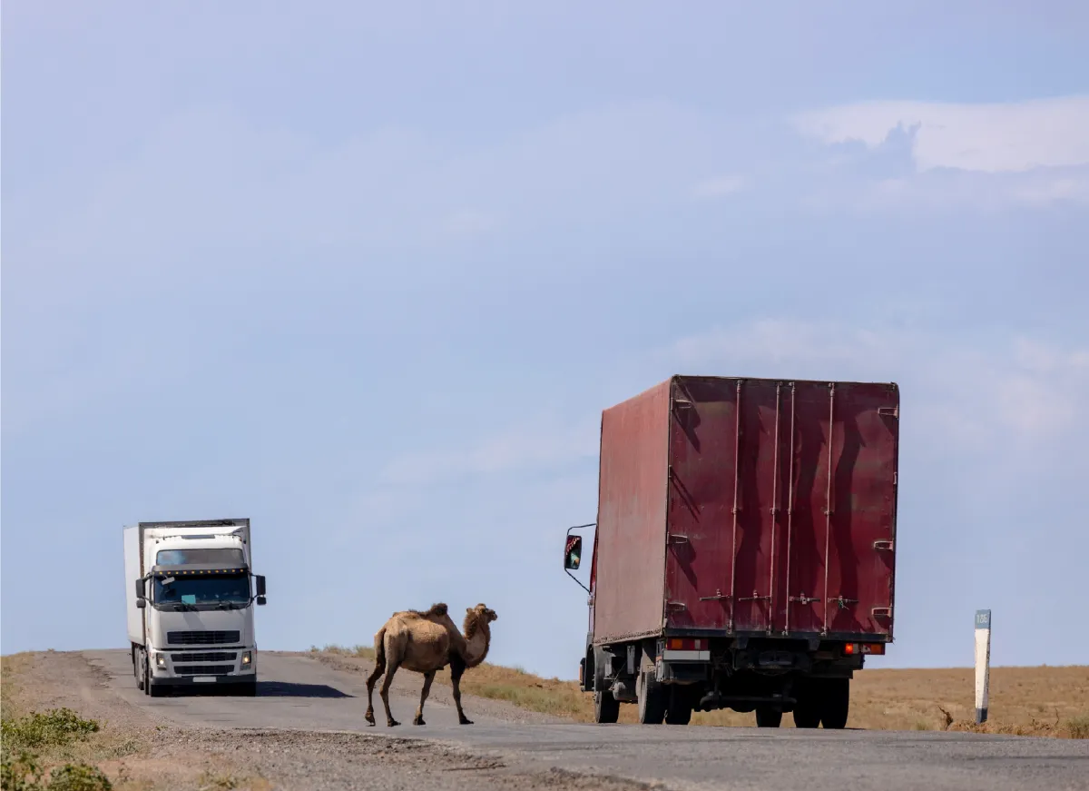 Pharmatransporte nach Kasachstan