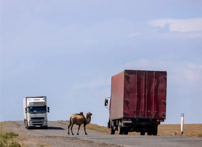 Bild: Effiziente Logistik für Pharmatransporte, medizinische Ausrüstung und Umzugstransporte nach Kasachstan