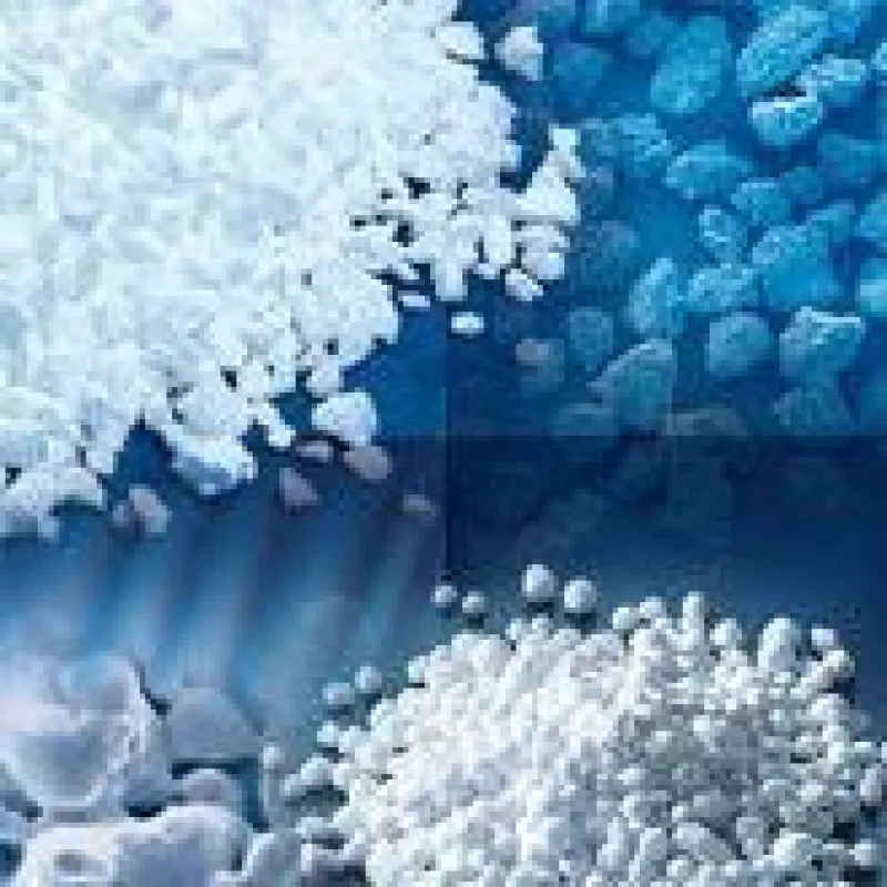Cerasorb® gibt es in unterschiedlichen Granulatgrößen sowie als Formteile und modifiziert als Cerasorb® PARO und als multiporöses Cerasorb® M.