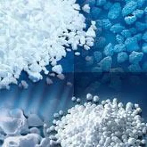 Bild: curasan AG erhält Japanisches Patent für Knochenaufbaumaterial Cerasorb® M