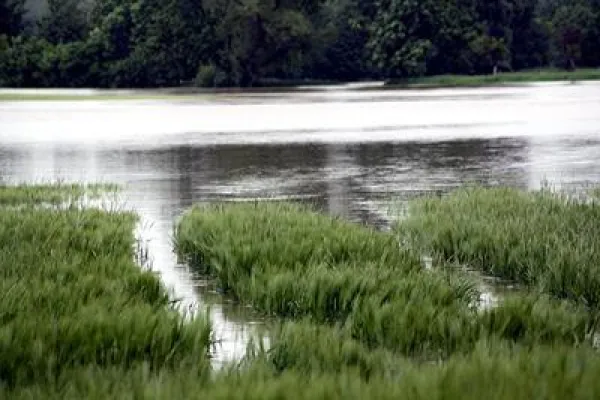 Bild: Hochwasserkatastrophe: MOBIWORX spendet