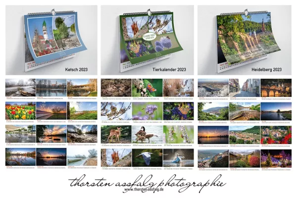 Bild: Heidelberg: Drei neue regionale Bildkalender für 2023 erschienen
