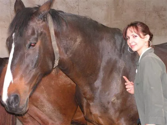 Bild: Erfolg, Karriere und mehr - pferdegestützte Managerseminare