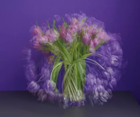 Bild: Revolution des Stilllebens: MemoriesForArt und Michael Wesely definieren die Zeit neu