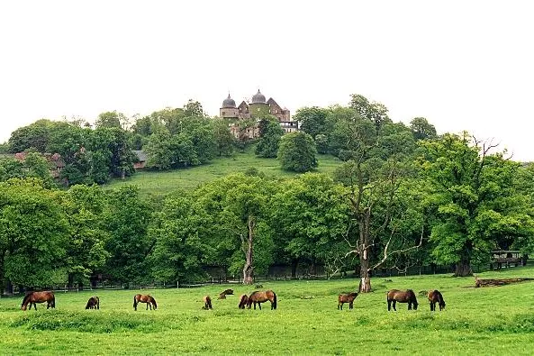 GrimmHeimat NordHessen - Märchenhaft wohnen in Schlössern und Burgen Bild: GrimmHeimat NordHessen - Märchenhaft wohnen in Schlössern und Burgen