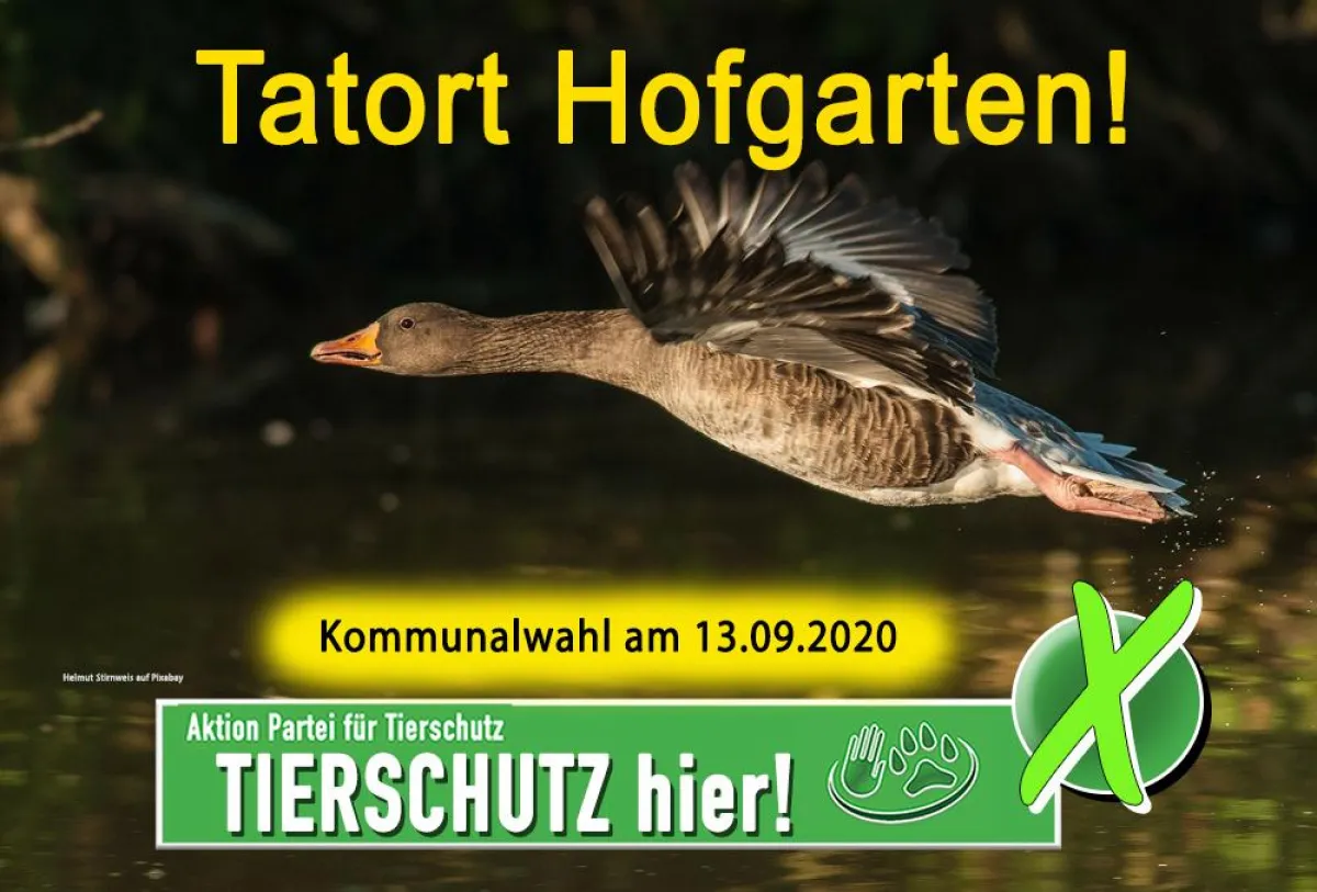Tierschutz ist wählbar!