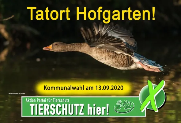 Tierschutz Düsseldorf - Tatort Hofgarten Bild: Tierschutz Düsseldorf - Tatort Hofgarten