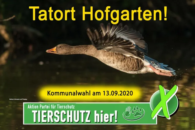 Bild: Tierschutz Düsseldorf - Tatort Hofgarten