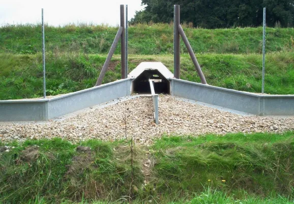 Bild: Amphibienpopulationen wirkungsvoll schützen