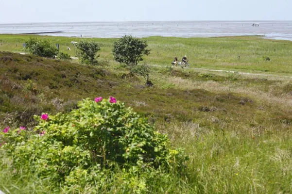 Radwanderland zwischen Nordsee, Elbe und Weser Bild: Radwanderland zwischen Nordsee, Elbe und Weser
