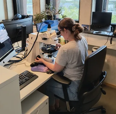 Bild: Kleine Änderung, große Wirkung