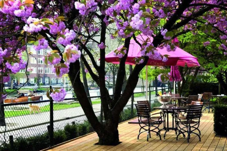 Bild: Go for Green - Das Hotel OKURA Amsterdam hat den GREEN KEY als Schlüssel zum neuen Umweltbewusstsein bekommen