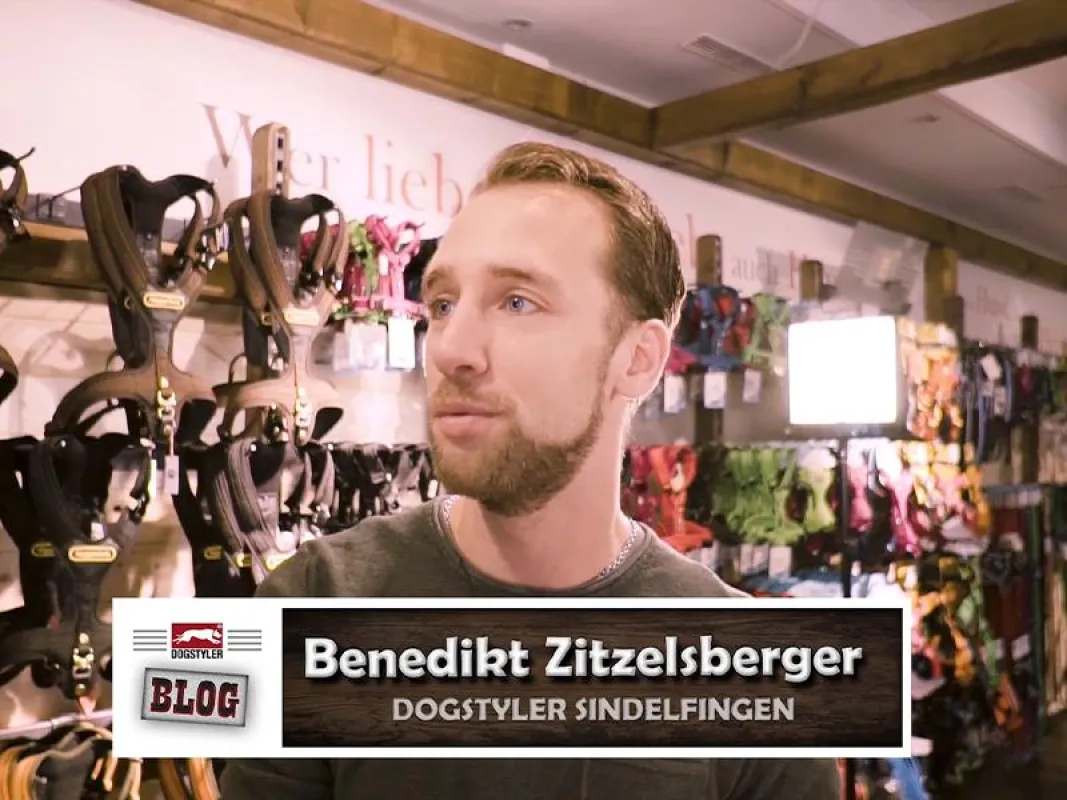 Benedikt Zitzelsberger performt im DOGSTYLER(R) Sindelfingen