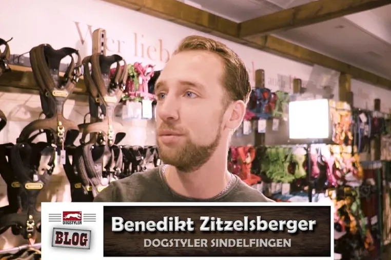 Bild: DOGSTYLER® Sindelfingen fährt Top-Quoten
