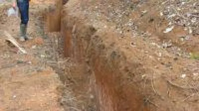 Bild: Analysten untersuchen Qualität bei Goldgesellschaften