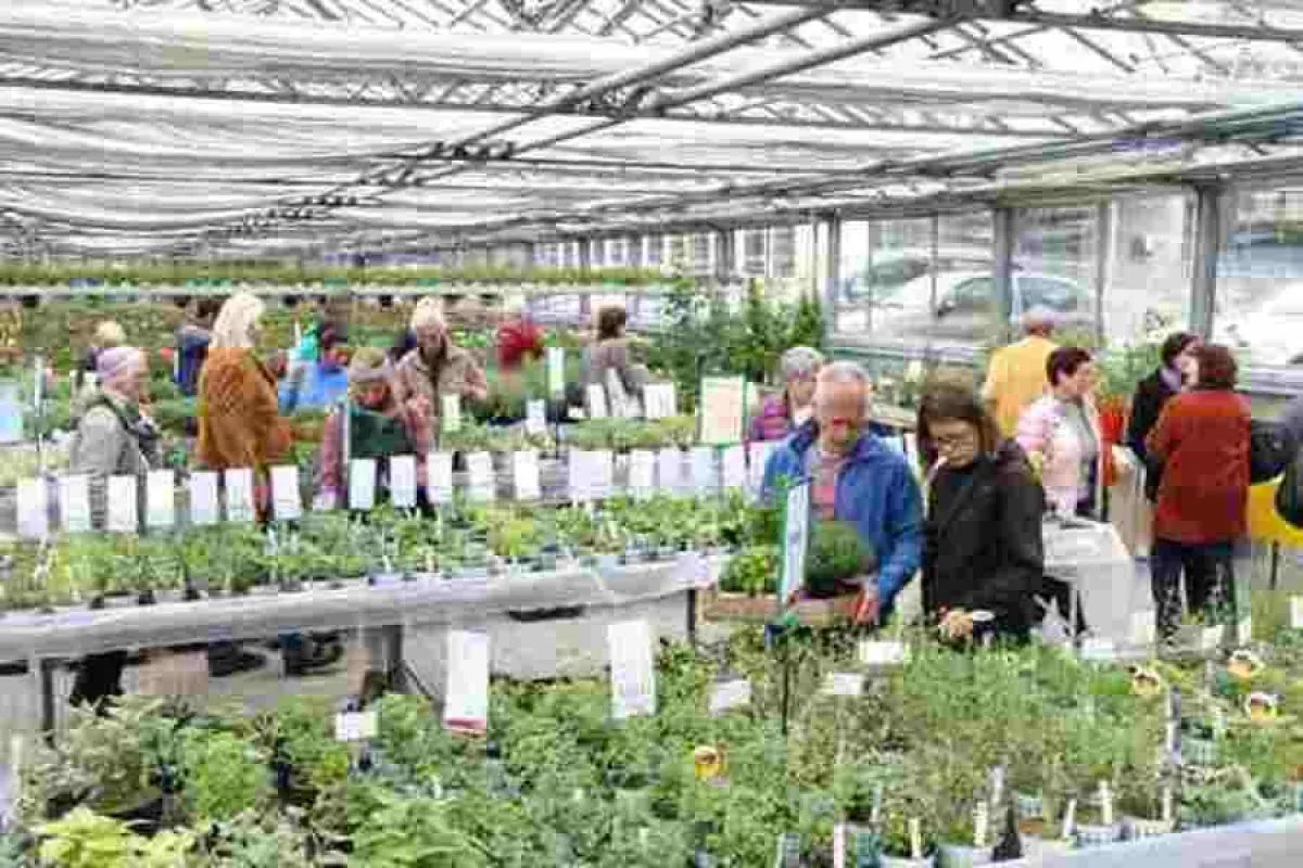 Der 4. Liebenauer Kräutertag eröffnete die Gartensaison