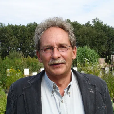 Bild: Dengue-Fieber auf Madeira - eine nicht zu unterschätzende Gefahr