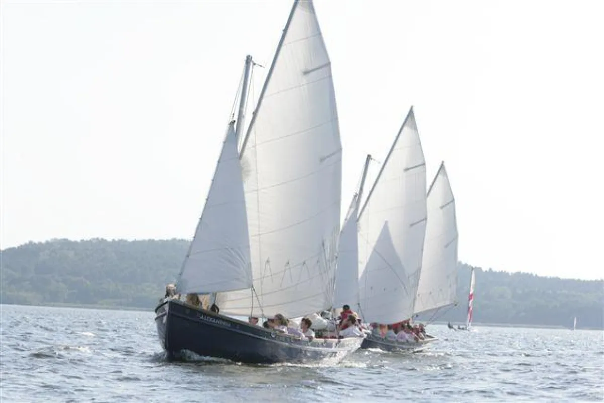 Teamsegelkutter auf dem Wolziger See