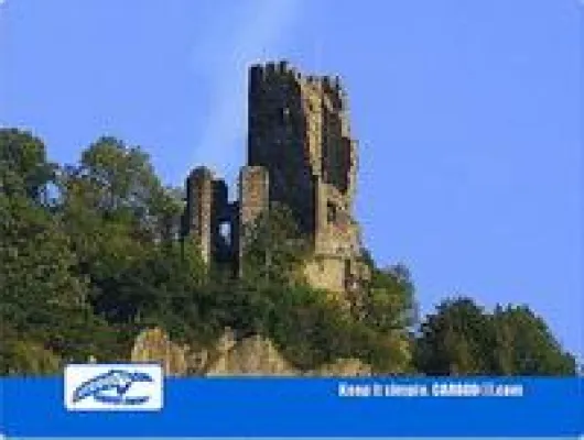 Bild: Der „Rhex“ Rheinsteig Extremlauf 2009 - und Carboo4U vor Ort