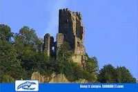 Bild: Der „Rhex“ Rheinsteig Extremlauf 2009 - und Carboo4U vor Ort