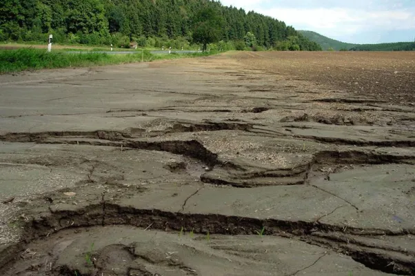 Bild: Jahrhunderthochwasser im Kreis Paderborn vor 40 Jahren