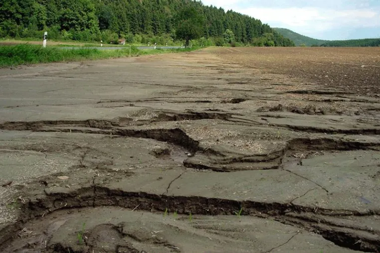 Bild: Jahrhunderthochwasser im Kreis Paderborn vor 40 Jahren