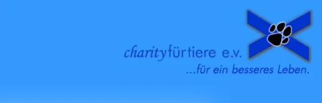 Charity für Tiere e.V. deckt Probleme im Gesundheitswesen auf - Blindenhund misshandelt – Verein stellt Strafanzeige Bild: Charity für Tiere e.V. deckt Probleme im Gesundheitswesen auf - Blindenhund misshandelt – Verein stellt Strafanzeige