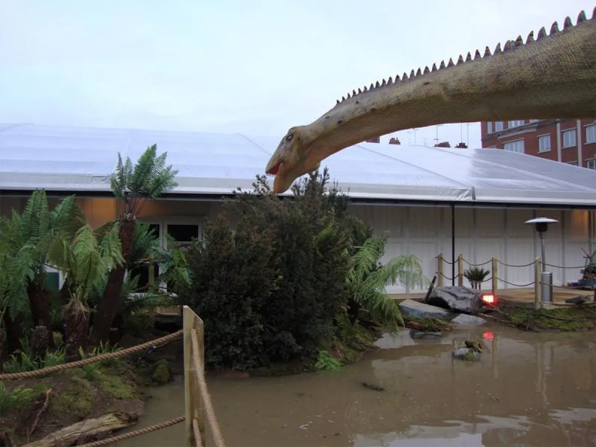 Präsentation zahlreicher Dinos hautnah und zum Anfassen in Losberger Zelthallen.