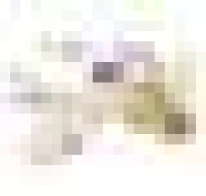 In der Symbolik liegt die Kraft Bild: In der Symbolik liegt die Kraft