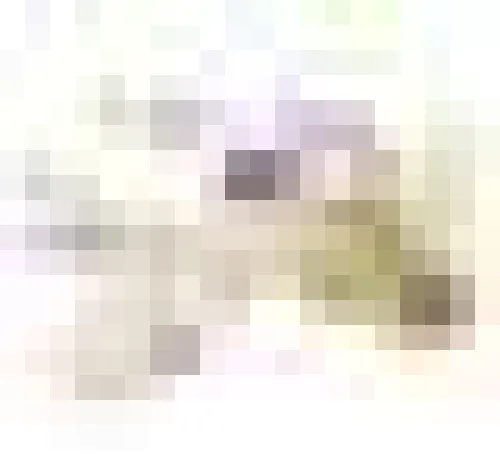 Bild: In der Symbolik liegt die Kraft