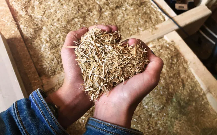 Bild: Wie Familien mit ISO-Stroh ökologisch dämmen und gesund wohnen