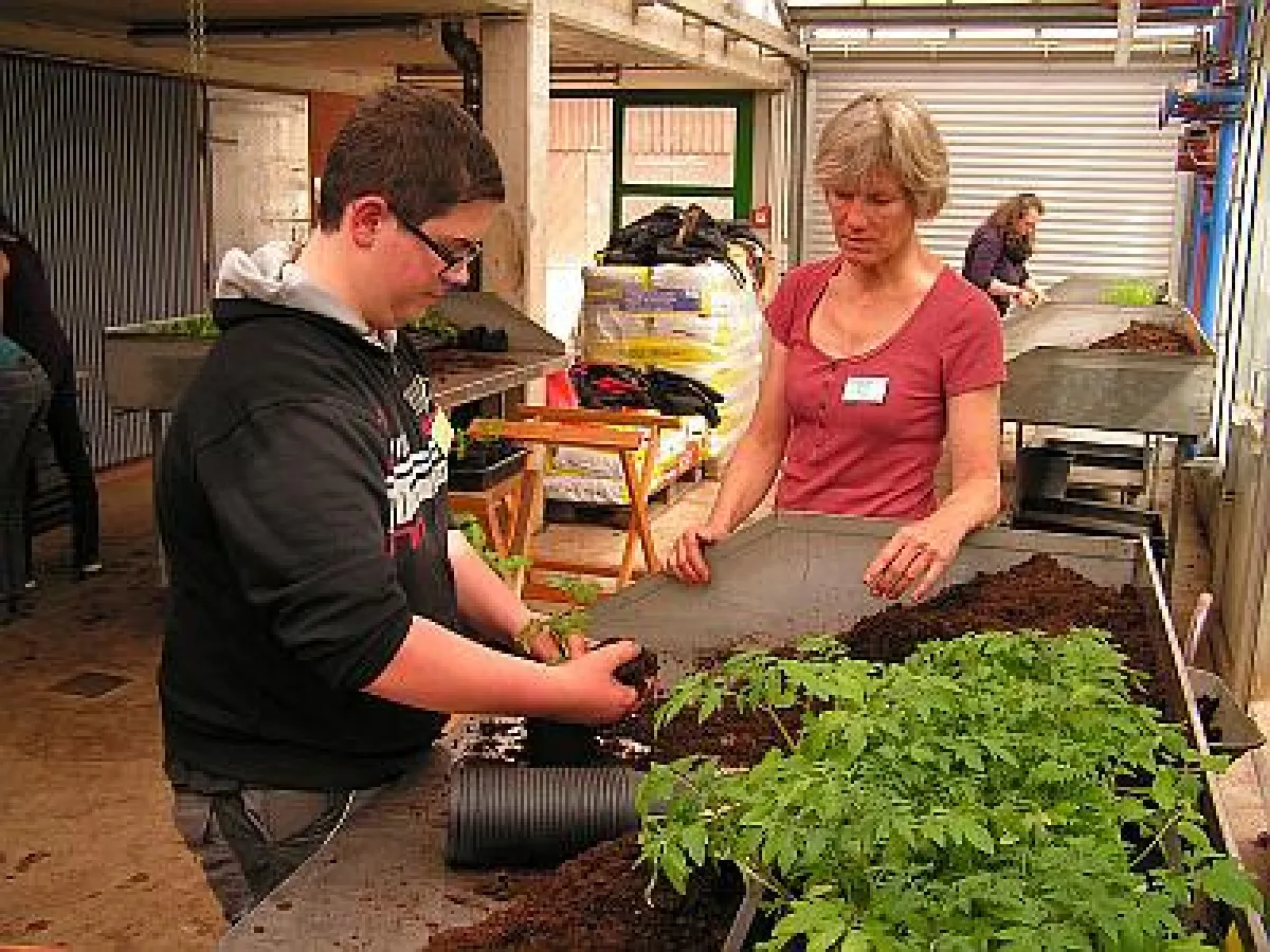 Erste Handgriffe im Berufsfeld Gartenbau (Bild: wort.laut)