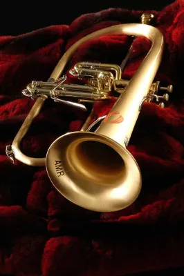 Luxus - Musikinstrumente nach Maß aus Lübeck Bild: Luxus - Musikinstrumente nach Maß aus Lübeck